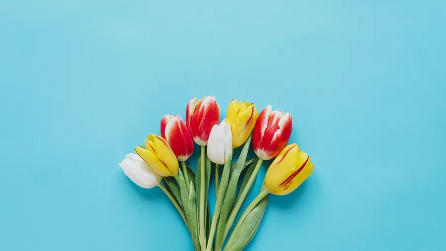 Minimalist Spring