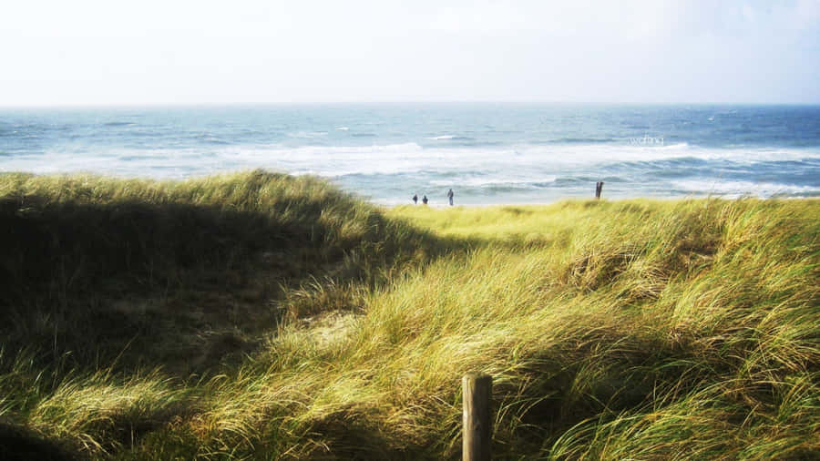 GenießenSie den malerischen Blick auf den Strand.