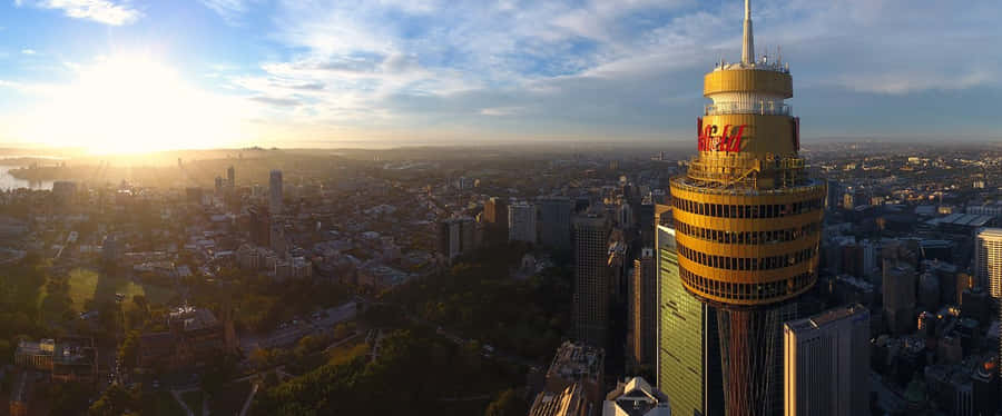 Sydney Tower Eye Solnedgang Udsigt