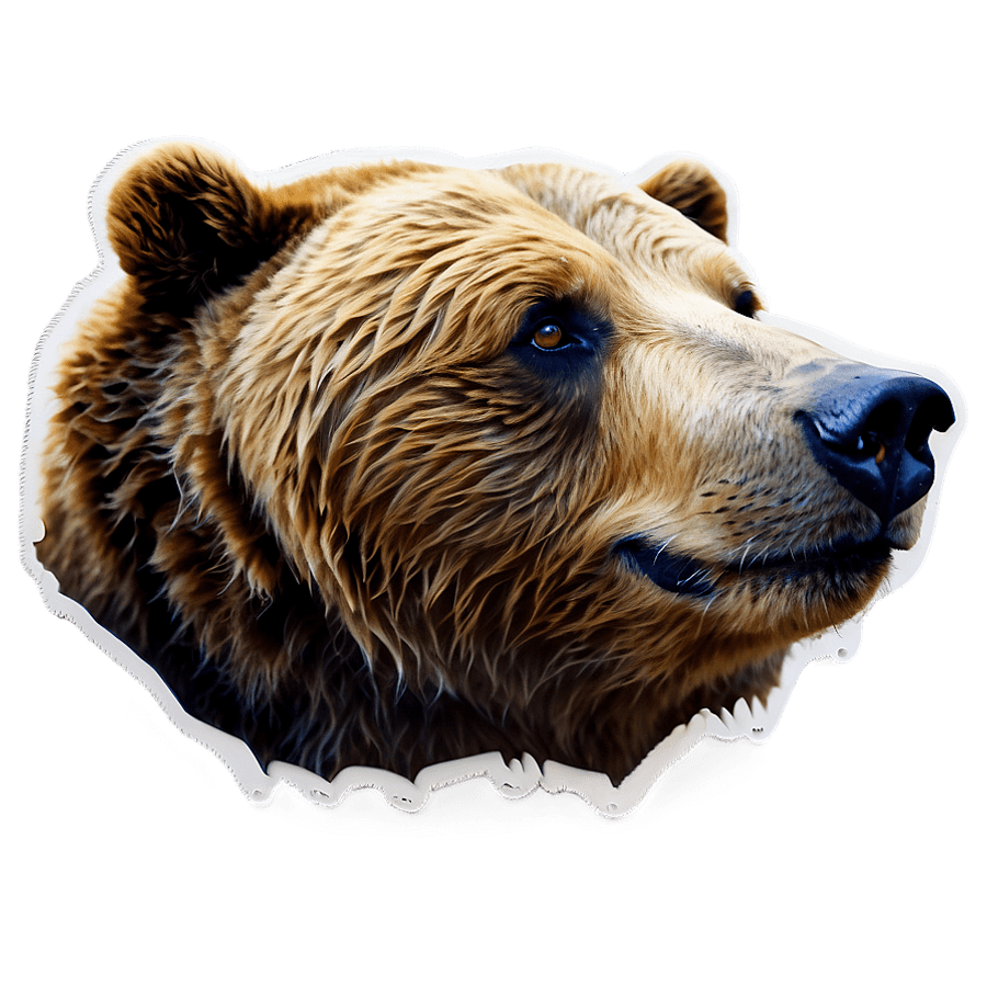 Endearing Bear Print PNG hrw