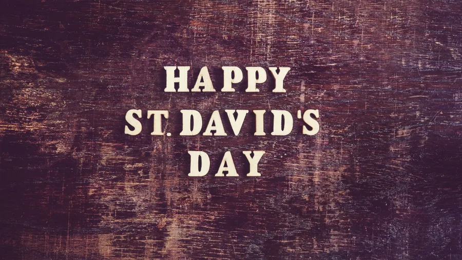 St David's Day