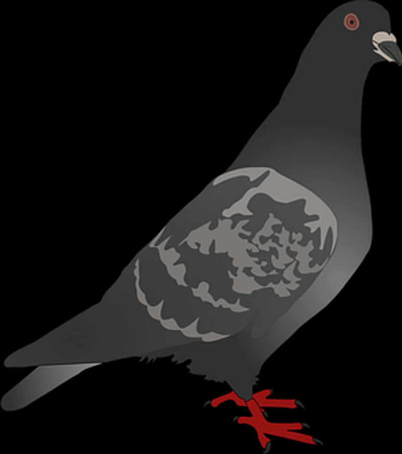 Stylized Pigeon Illustration