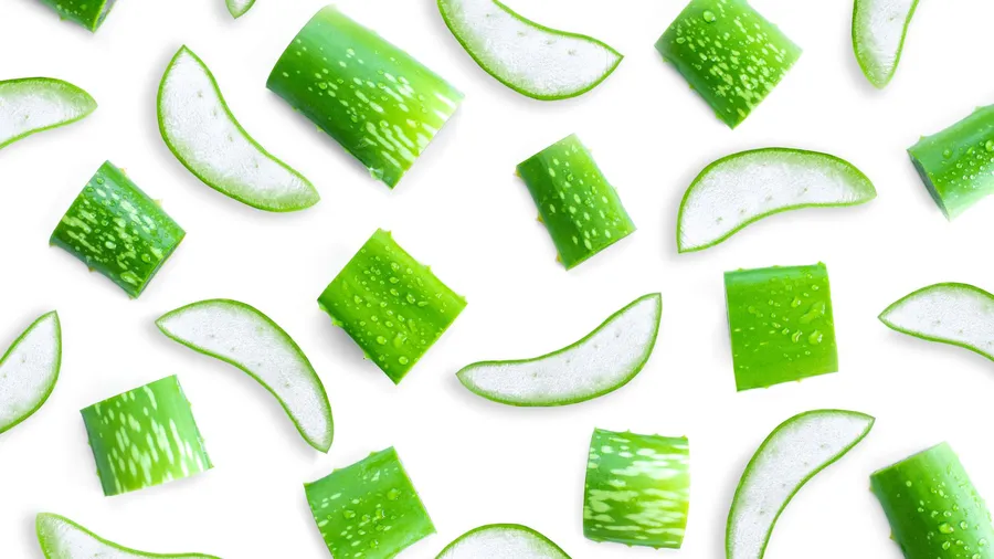 Aloe Vera Slice Pattern