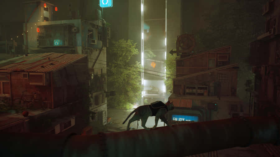 Gato Perdido em Paisagem Urbana Distópica