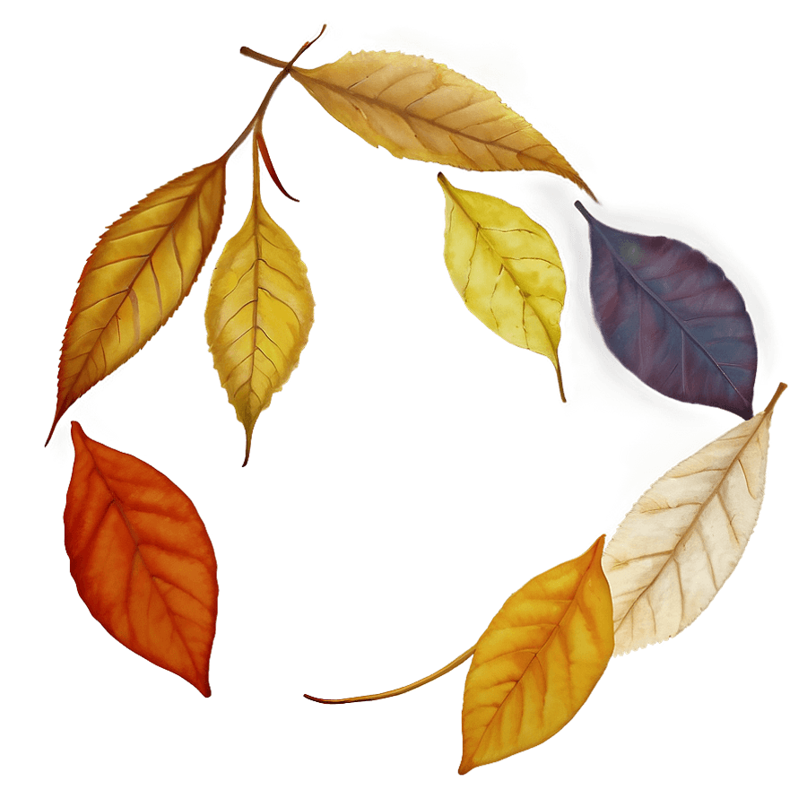 Autumn Leaves Overlay PNG fqp