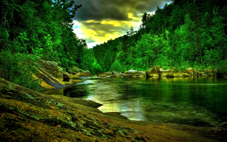 Amazonas background