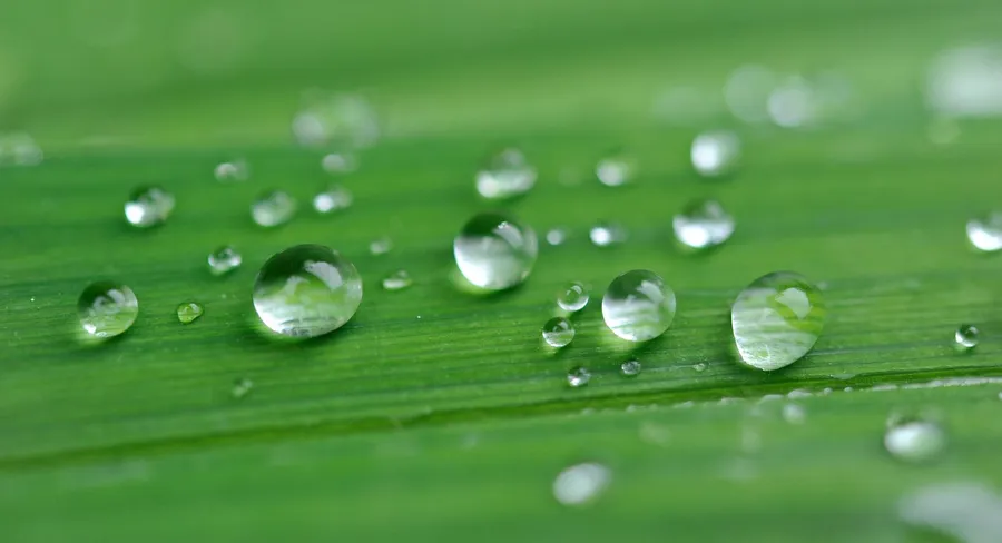 Rainy pictures
