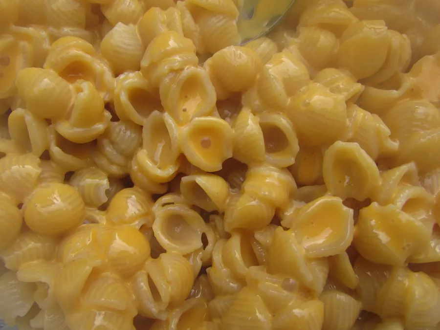 Conch Shell Mac And Cheese