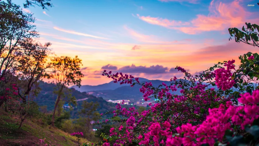 Landscape pictures