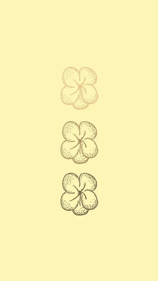 Flower Drawing