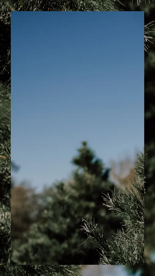 Ig Background
