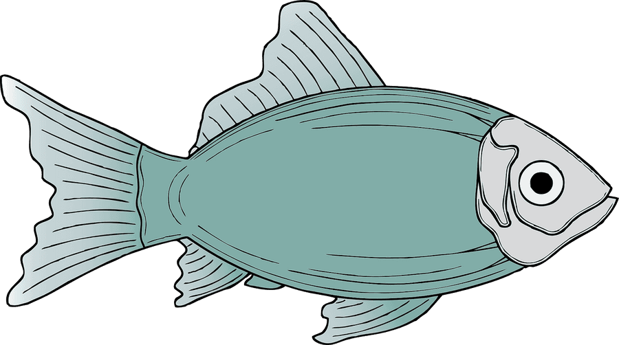 Fish Clipart, HD Png Download