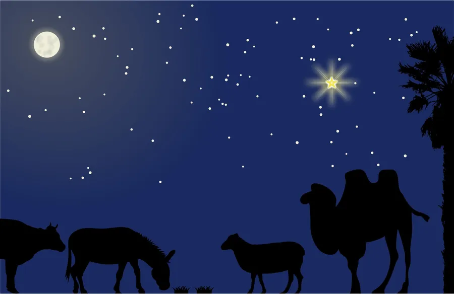 Nativity Background
