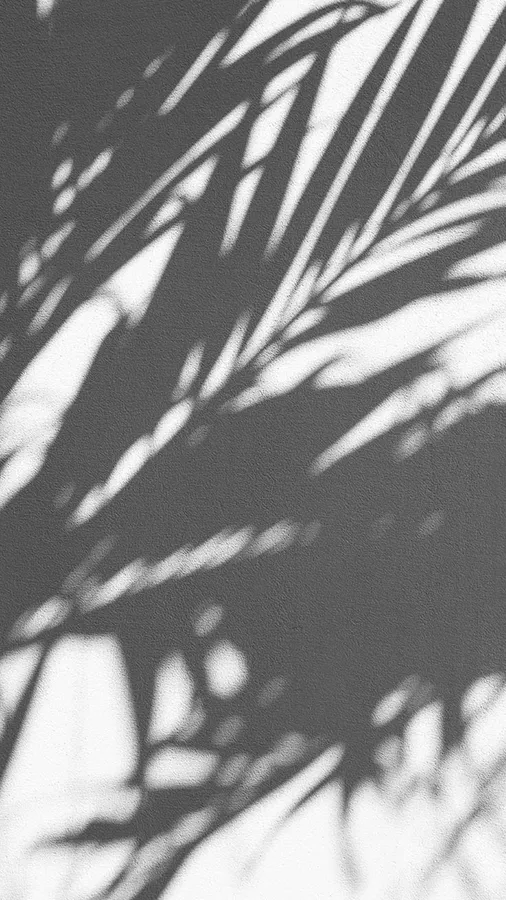Black White iPhone Shadow