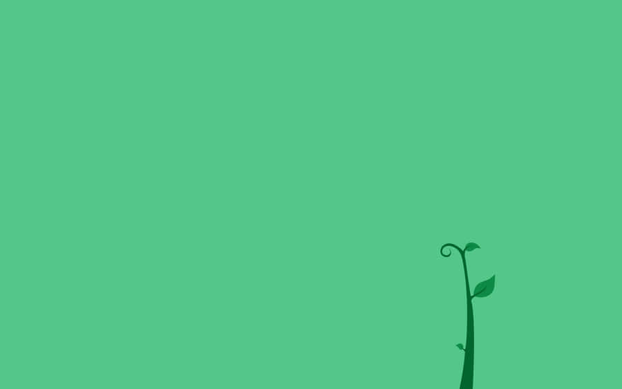 Grünerminimalistischer 2560 x 1600 Hintergrundbild