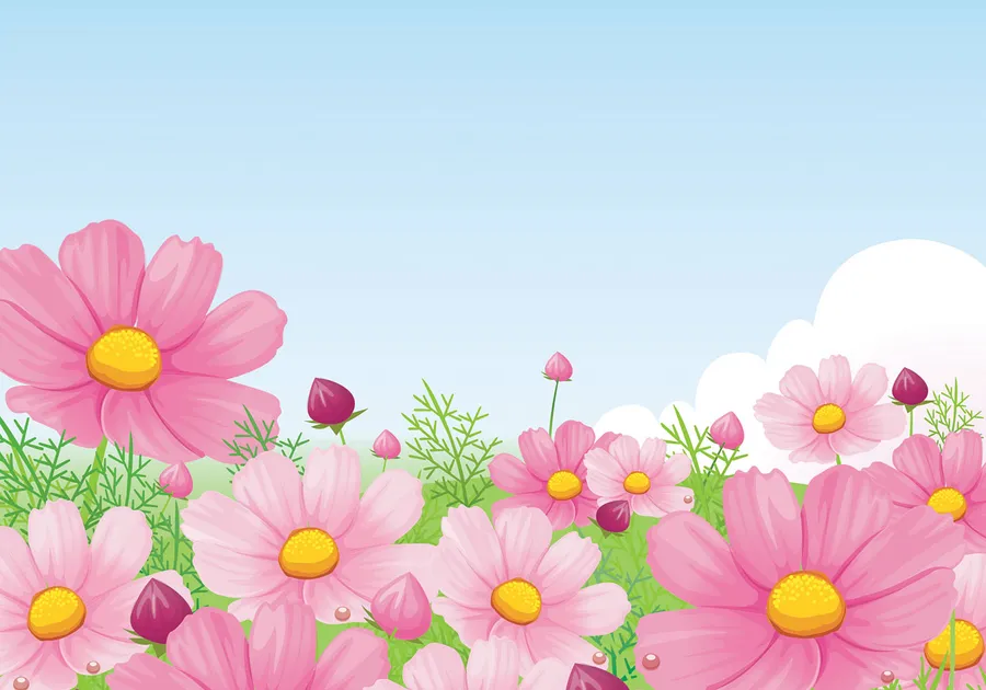 Daisy Background