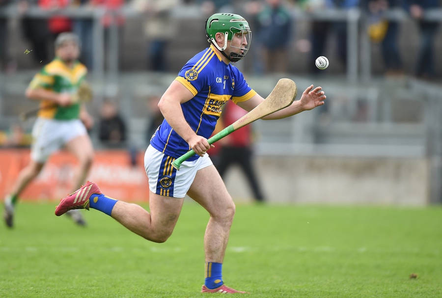 Hurling Game Sports Player Wooden Stick