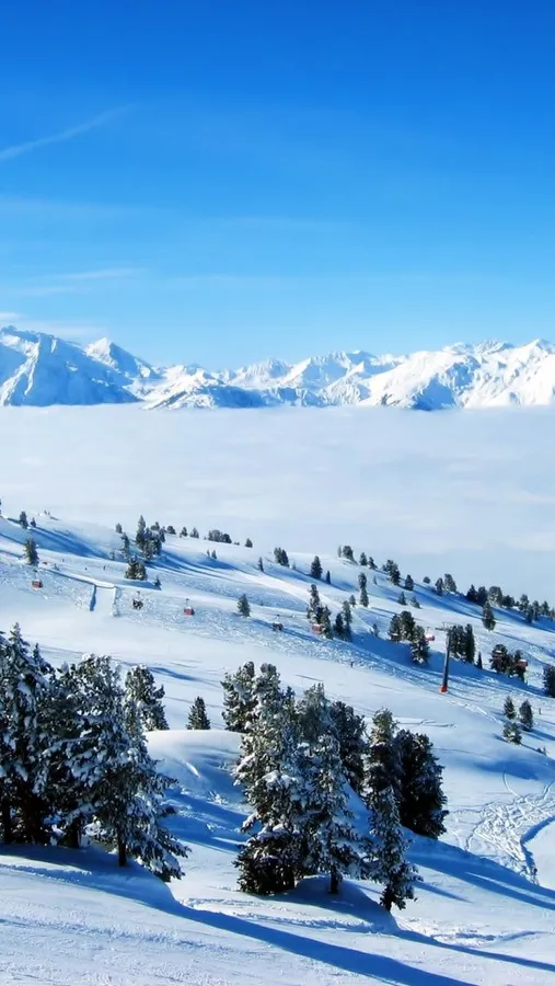 Ski Mountain