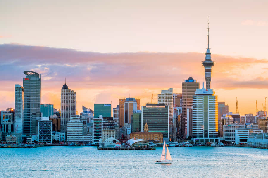 Auckland Skyline Sonnenuntergang Segeln