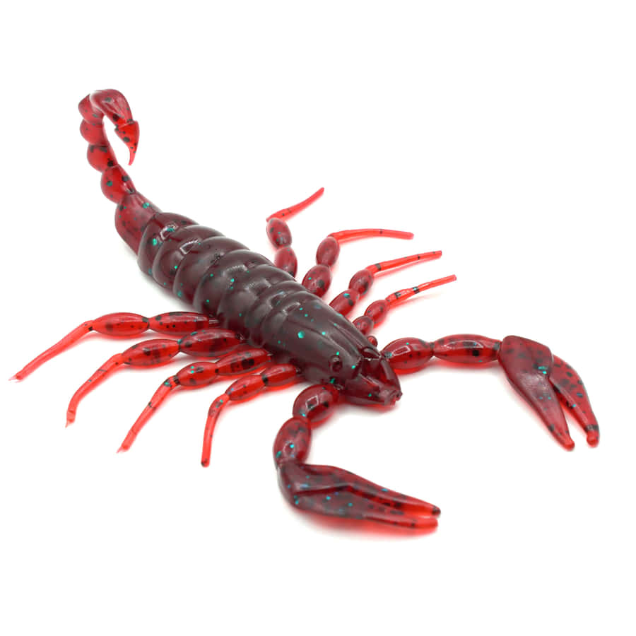 FeroceScorpione Rosso su uno Sfondo Scuro