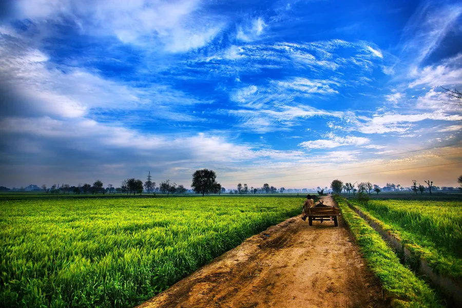 Agriculture background