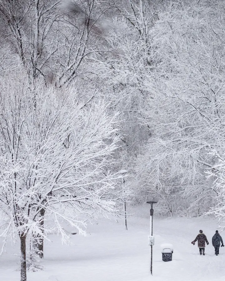 Snowing Background