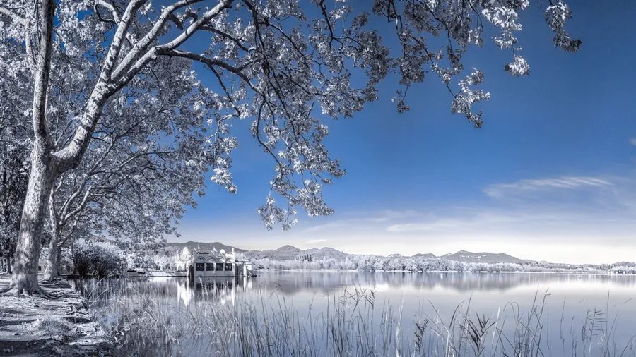 Laptop Winter