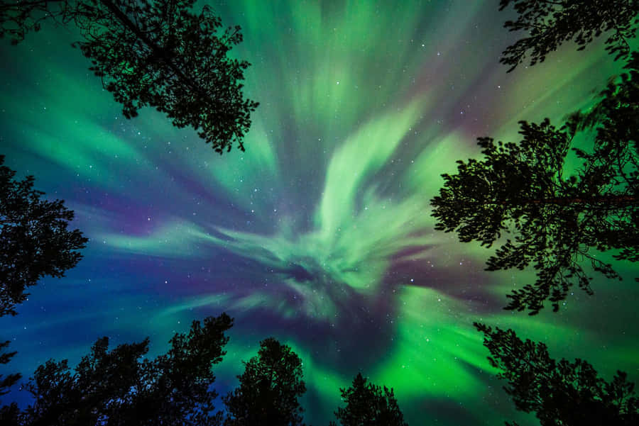 Auroraborealis 1600 x 1068 tapet.