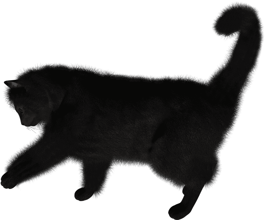 Black Cat Stretching Silhouette