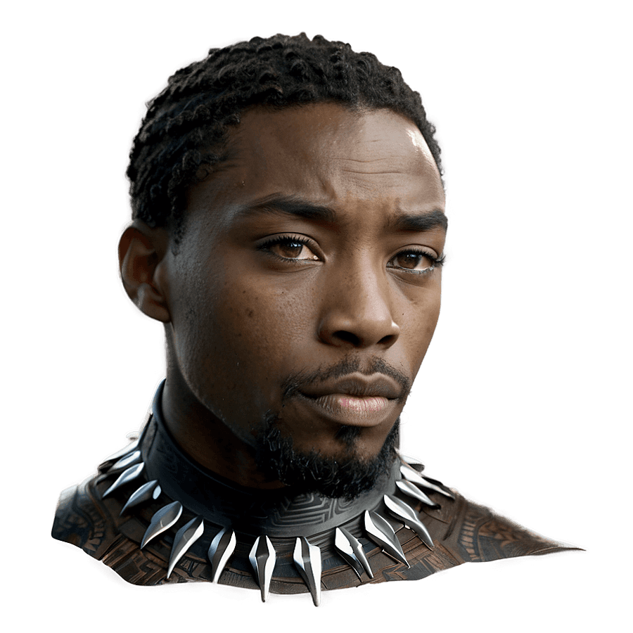 Black Panther Wakanda PNG ple