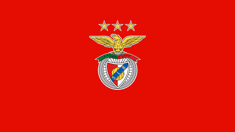 Bandeira do S L Benfica