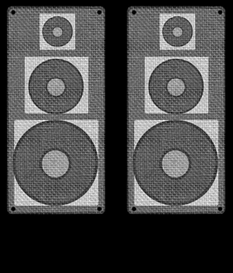 Dual Speaker System Blackand White