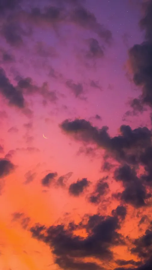 Soaring through Aesthetic Clouds