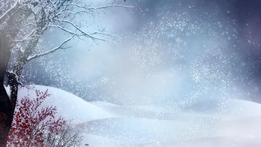 Winter Snow Background