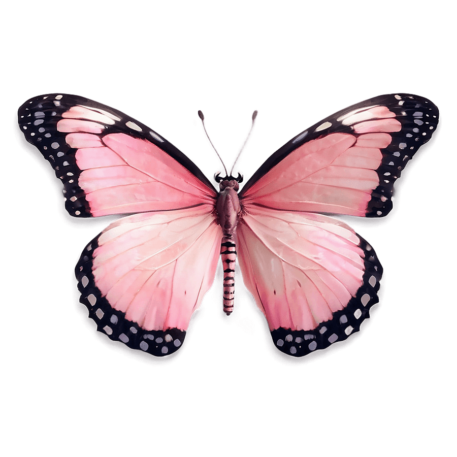Light Pink Butterfly PNG 06232024