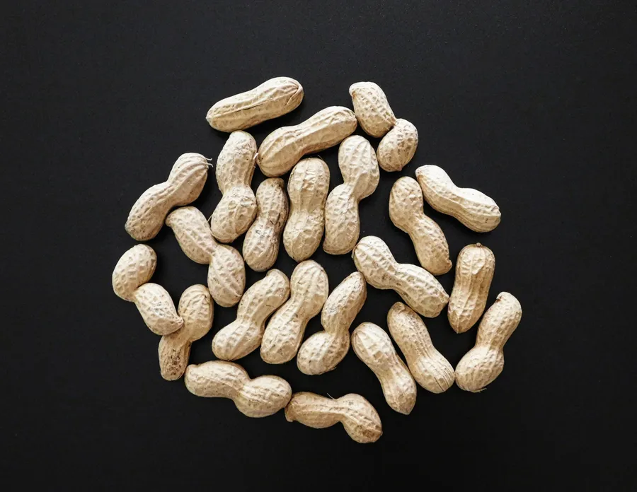 food,ingredient,organic,diet,peanut,snack,background,nutrition,brown,natural,nut,vegan,bowl,delicious,roasted,healthy,health,vegetarian,top,isolated