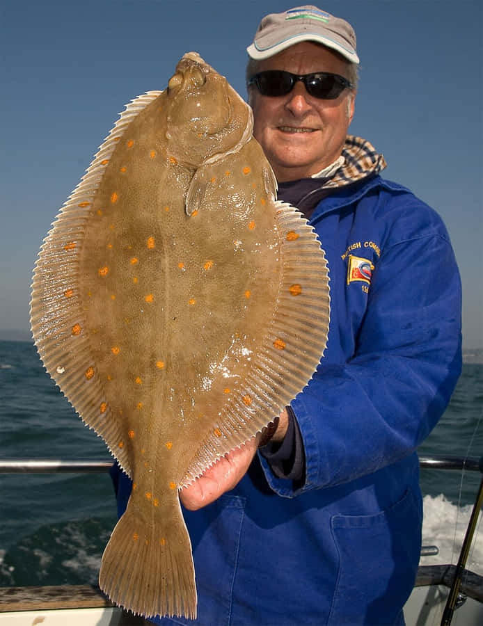 Pescador Segurando um Grande Linguado
