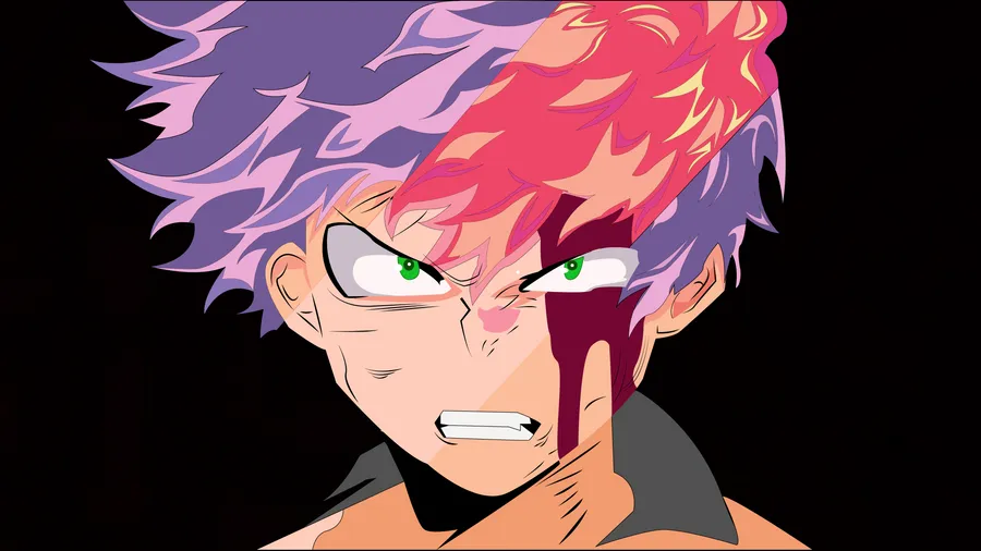 Todoroki pictures