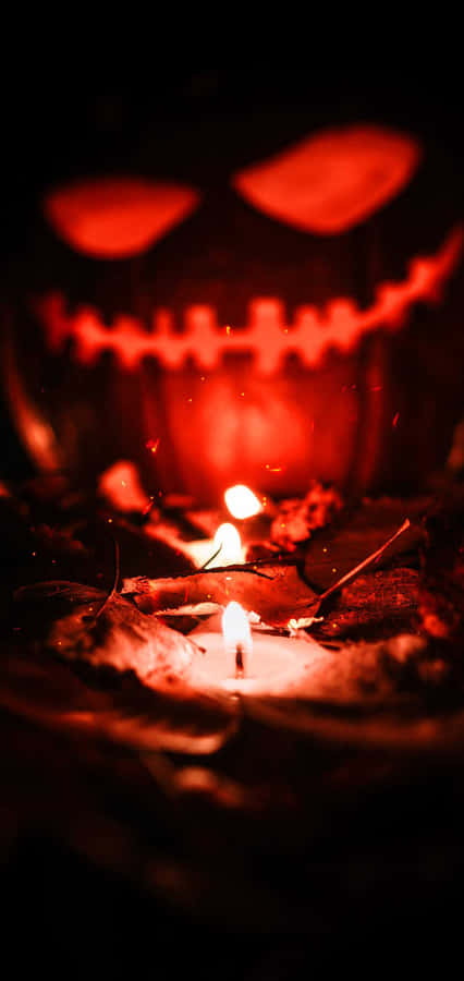Leuchtende Kürbislaterne Halloween Stimmung