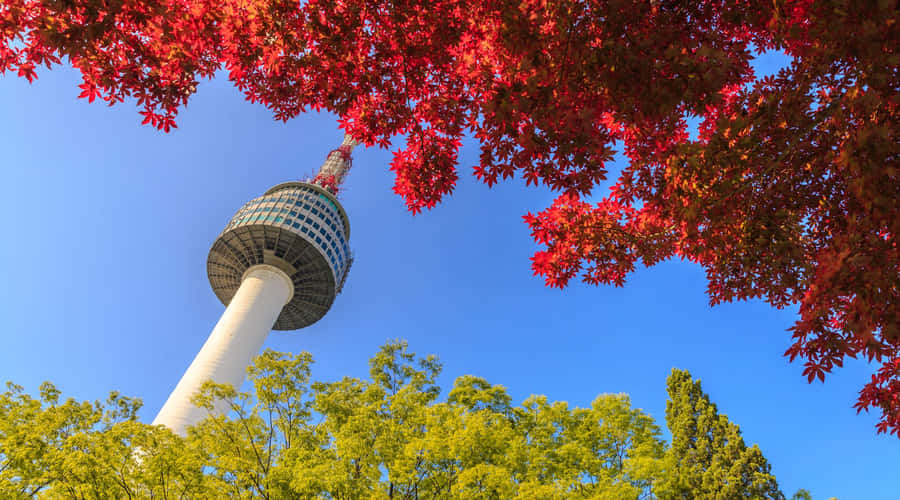 Vista Autunnale della Torre di Namsan a Seoul