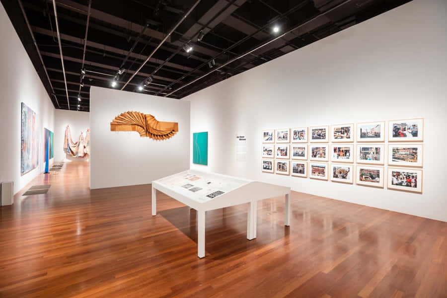 Museo De Young Sala Esposizione Arte