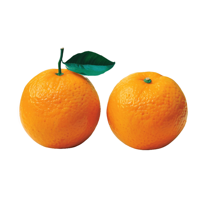 Natural Orange Fruit PNG axd