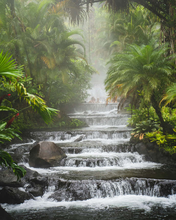 Serenità della Cascata Tropicale Nebbiosa