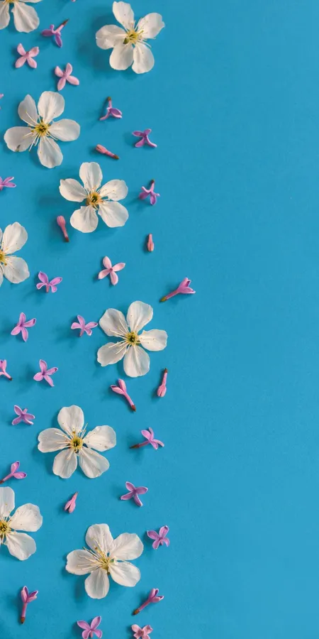 Best Spring Background