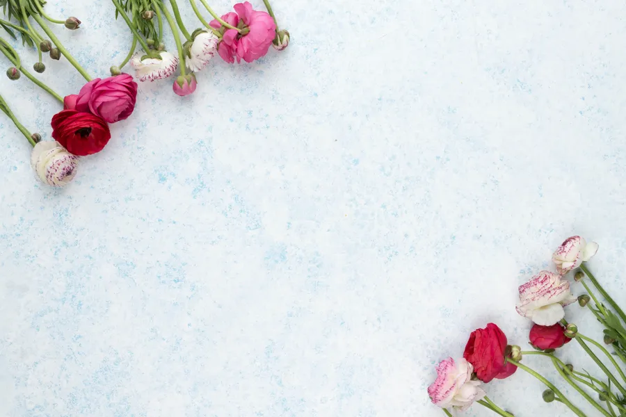 Mockup background