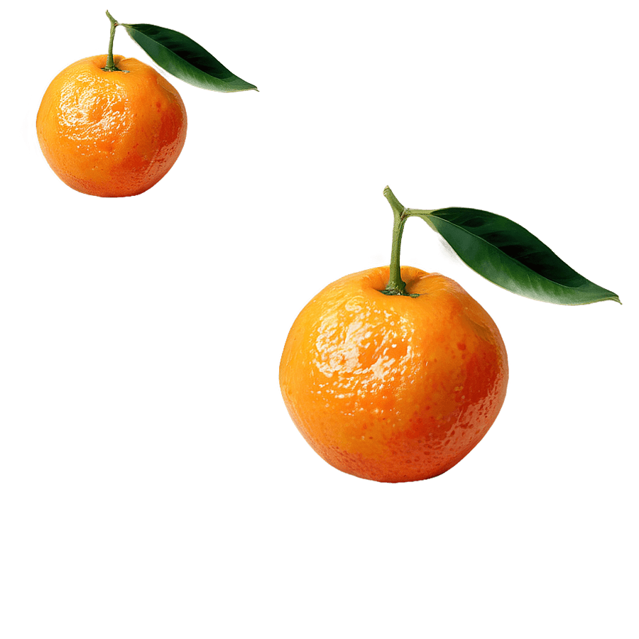 Sun-Ripened Orange Fruit PNG mmh55