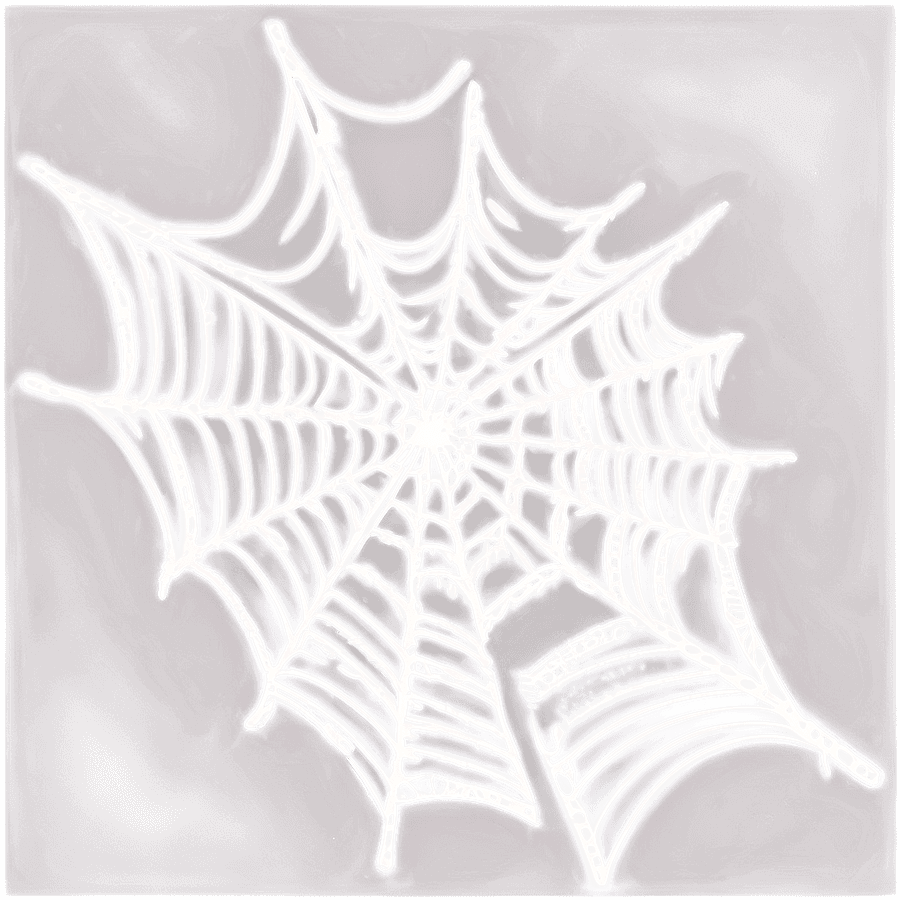White Spider Web for DIY Projects PNG jkq21