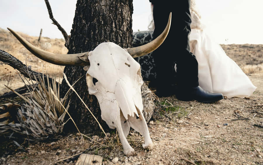 Estética de Casamento Ocidental com Crânio de Longhorn