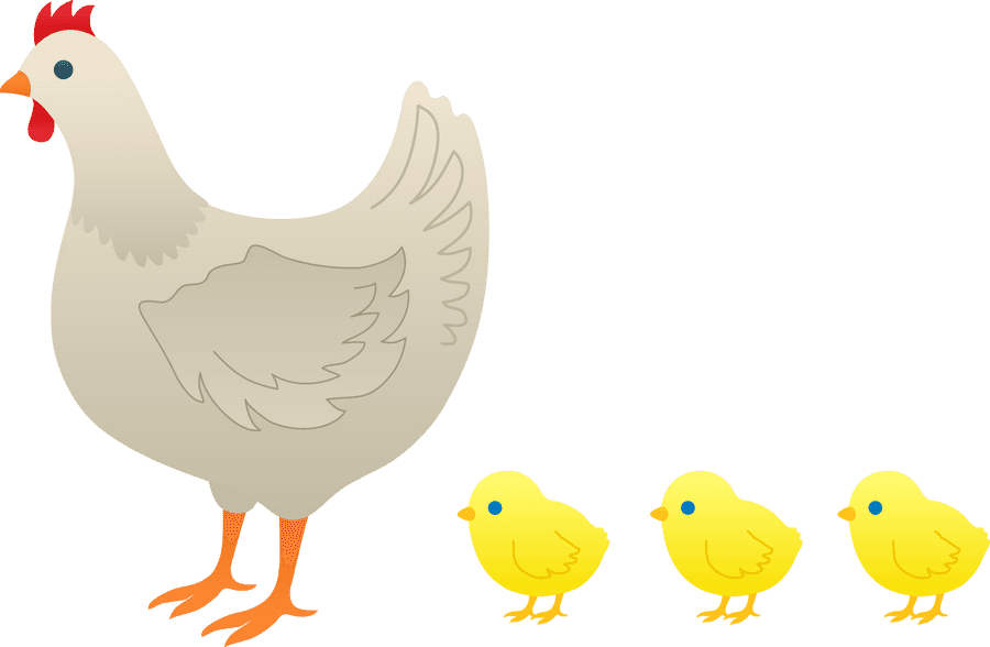Henand Chicks Illustration