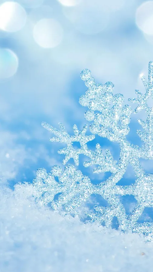 Simple Winter
